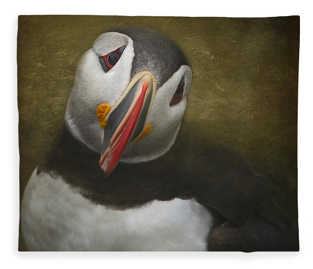 Festblues Fleece Blanket featuring the photograph A Portrait of the Clown of the Sea by Nina Stavlund