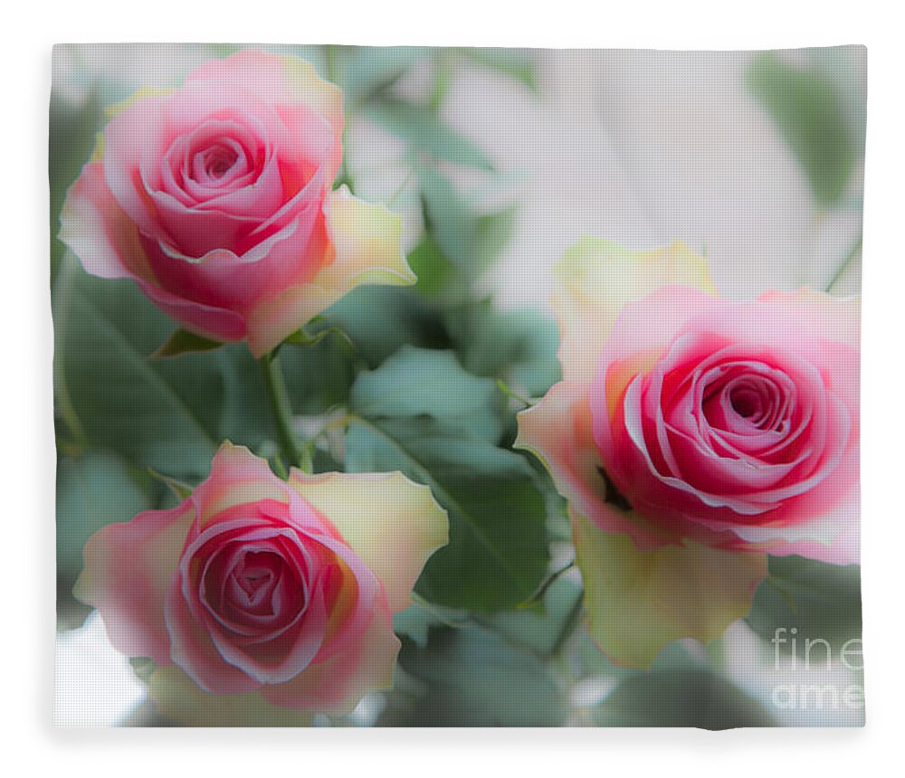Three Roses Fleece Blanket featuring the photograph A rose and a rose and a rose by Casper Cammeraat