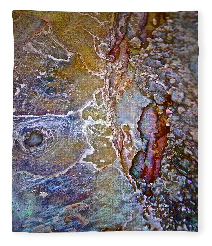 Abalone Fleece Blanket featuring the photograph A Secret Beneath The Surface by Gwyn Newcombe
