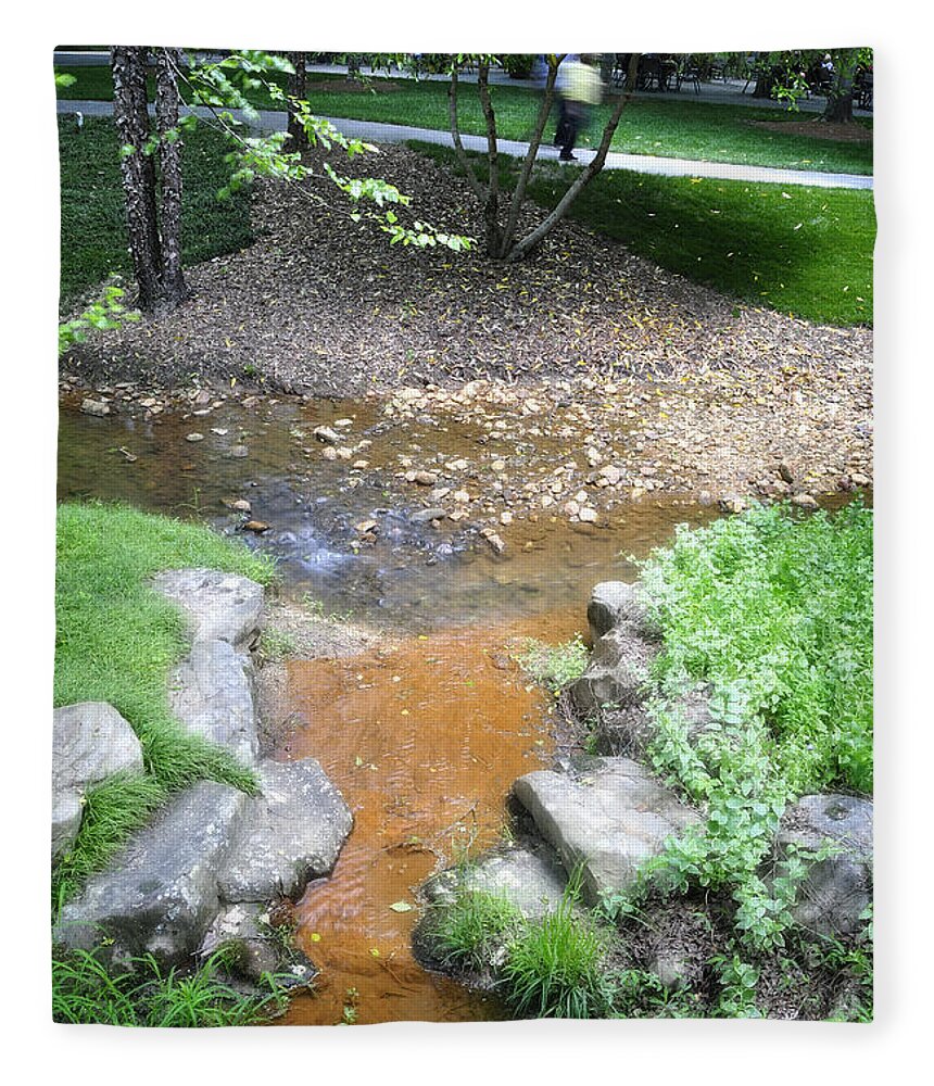 Stream Fleece Blanket featuring the photograph A Walk by a Stream by George Taylor