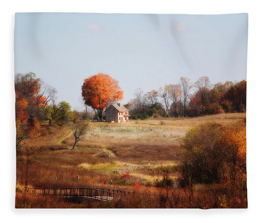 Landscape Fleece Blanket featuring the photograph A Walk In the Meadow by Trina Ansel