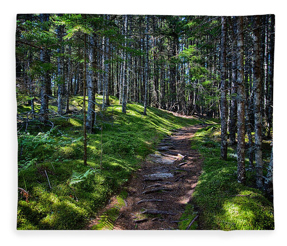 Maine Fleece Blanket featuring the photograph A Walk in the Woods by John Haldane