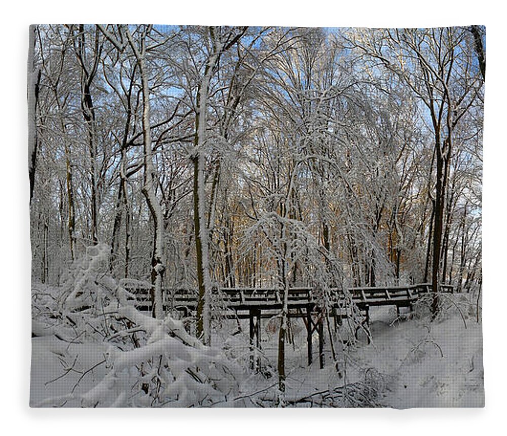 Salani Fleece Blanket featuring the photograph A Winter Scene by Raymond Salani III