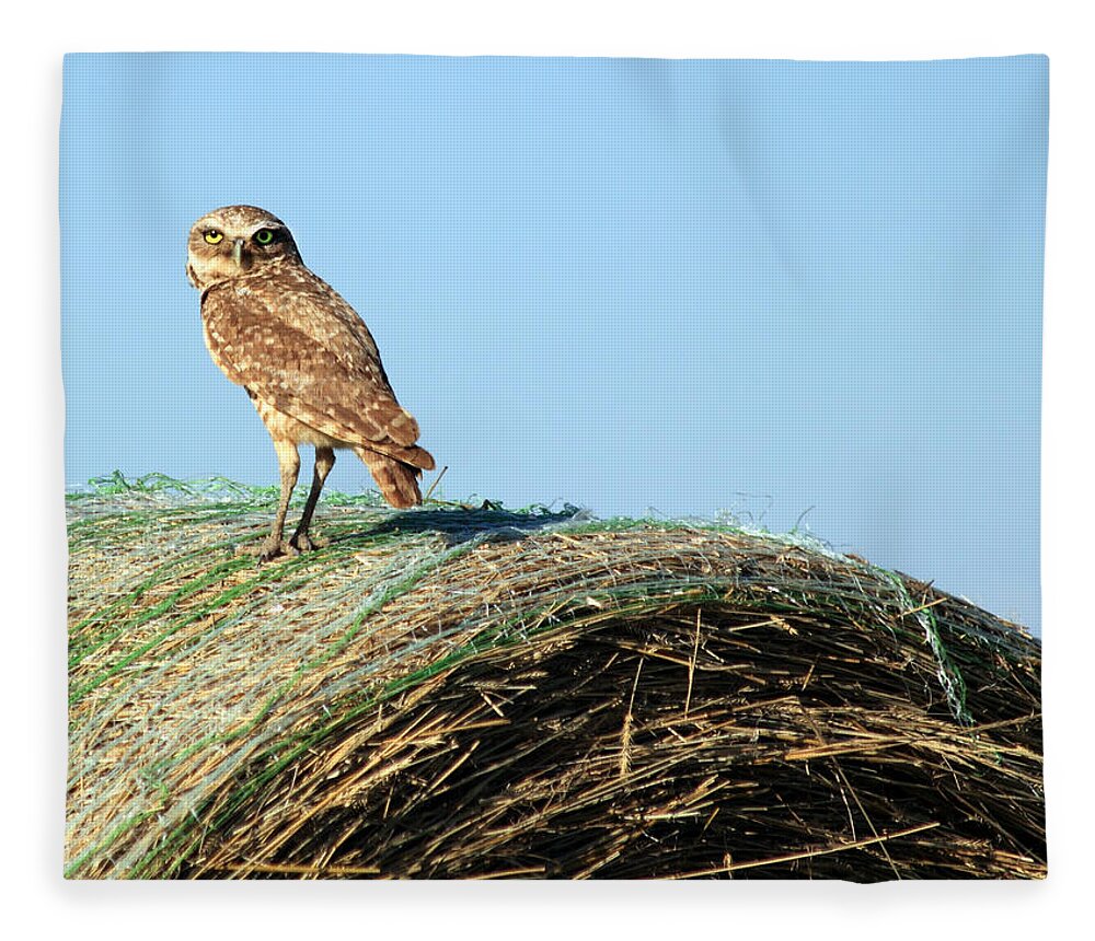 Owl Fleece Blanket featuring the photograph About To Bale by Shane Bechler