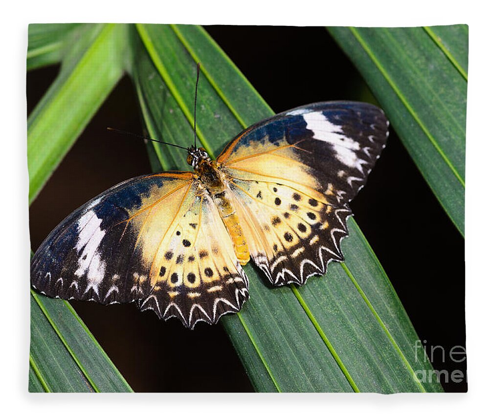 Leopard Lacewing Fleece Blanket featuring the photograph Butterfly on Leaves by Tamara Becker