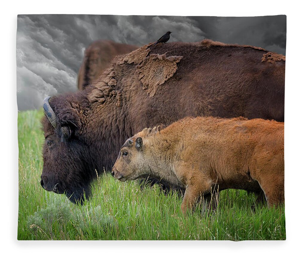 Bison Baby Blanket Fleece & Sherpa