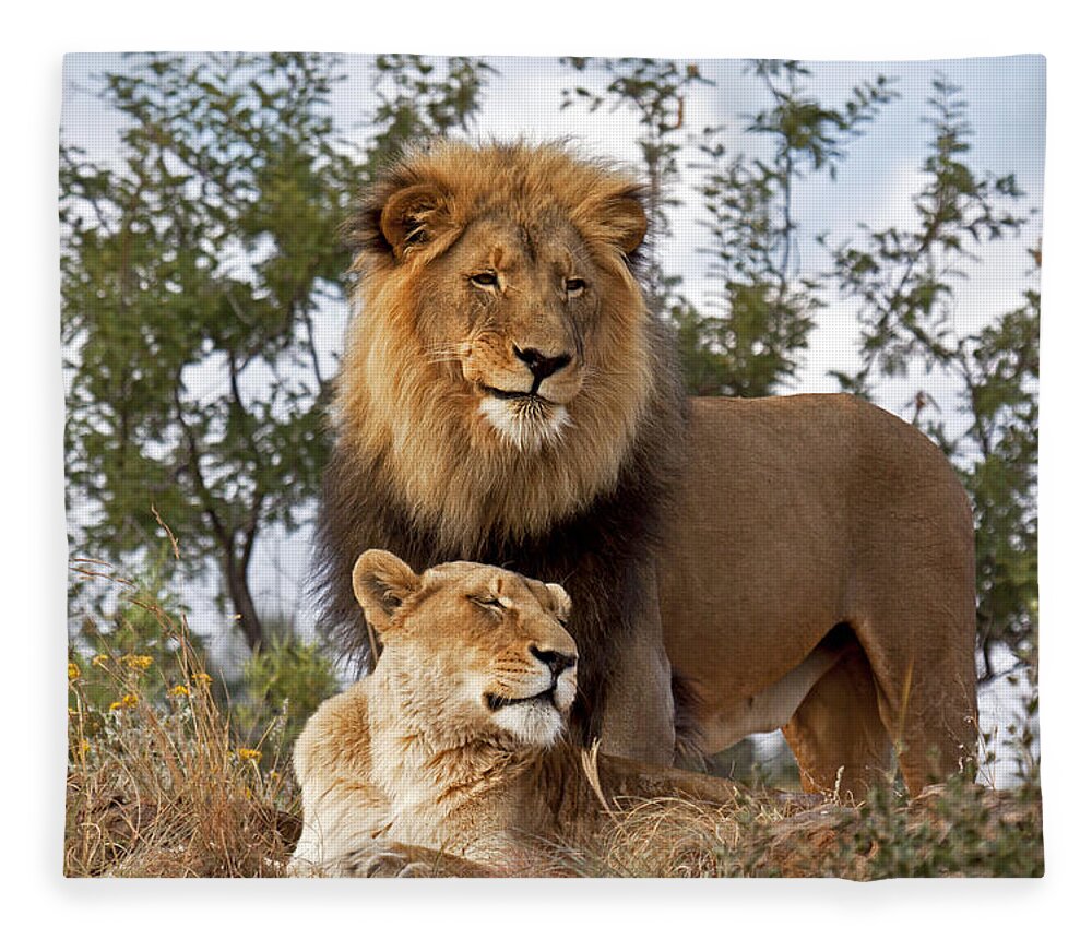Nis Fleece Blanket featuring the photograph African Lion And Lioness Botswana by Erik Joosten