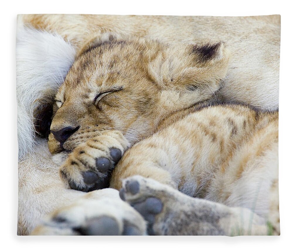 00761283 Fleece Blanket featuring the photograph African Lion Cub Sleeping by Suzi Eszterhas