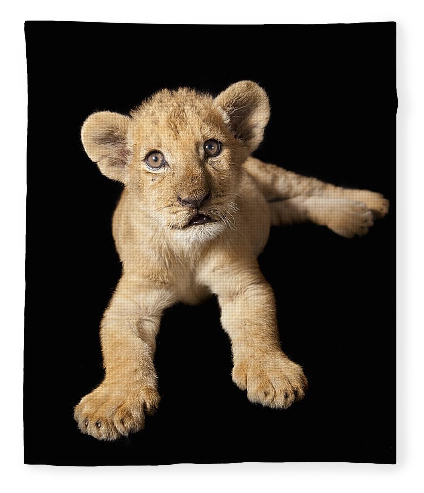 Feb0514 Fleece Blanket featuring the photograph African Lion Cub Zimbabwe by Michael Durham