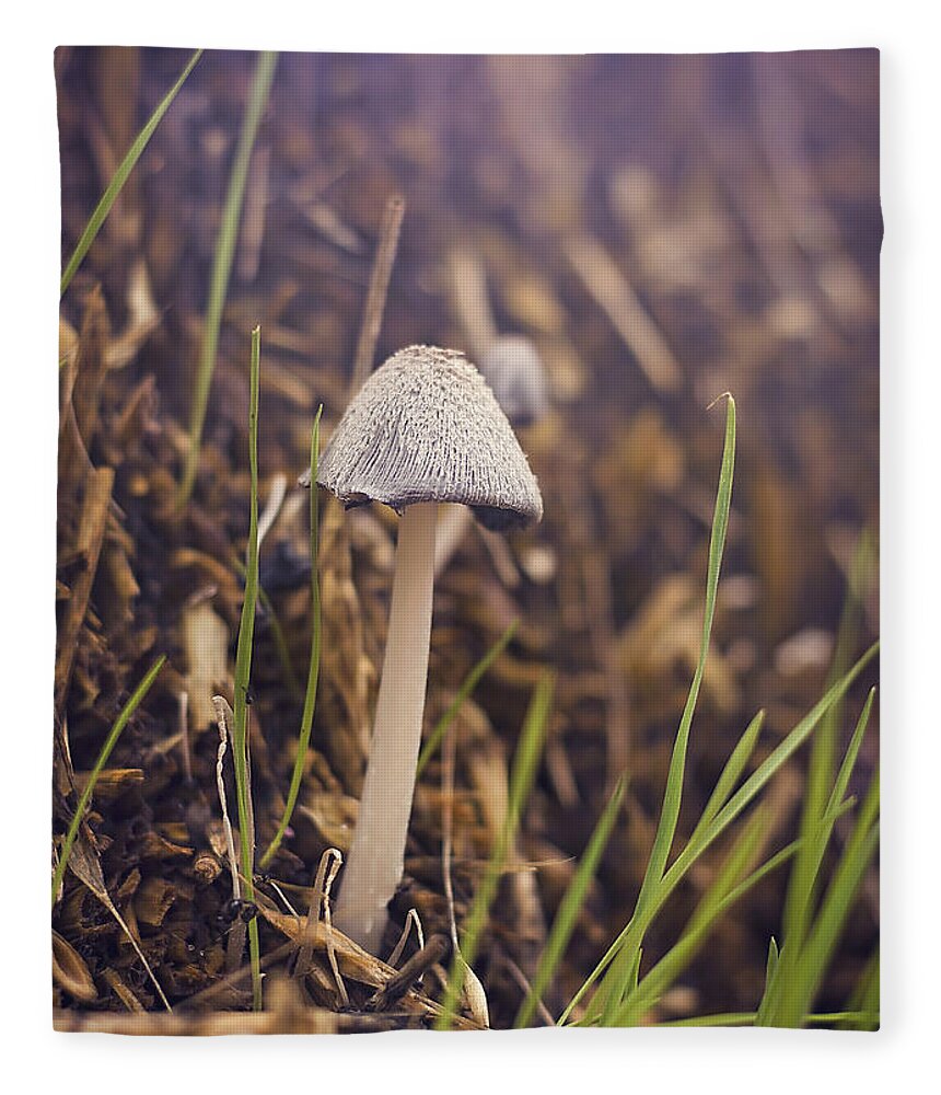 Mushroom Fleece Blanket featuring the photograph After the Rain by Heather Applegate