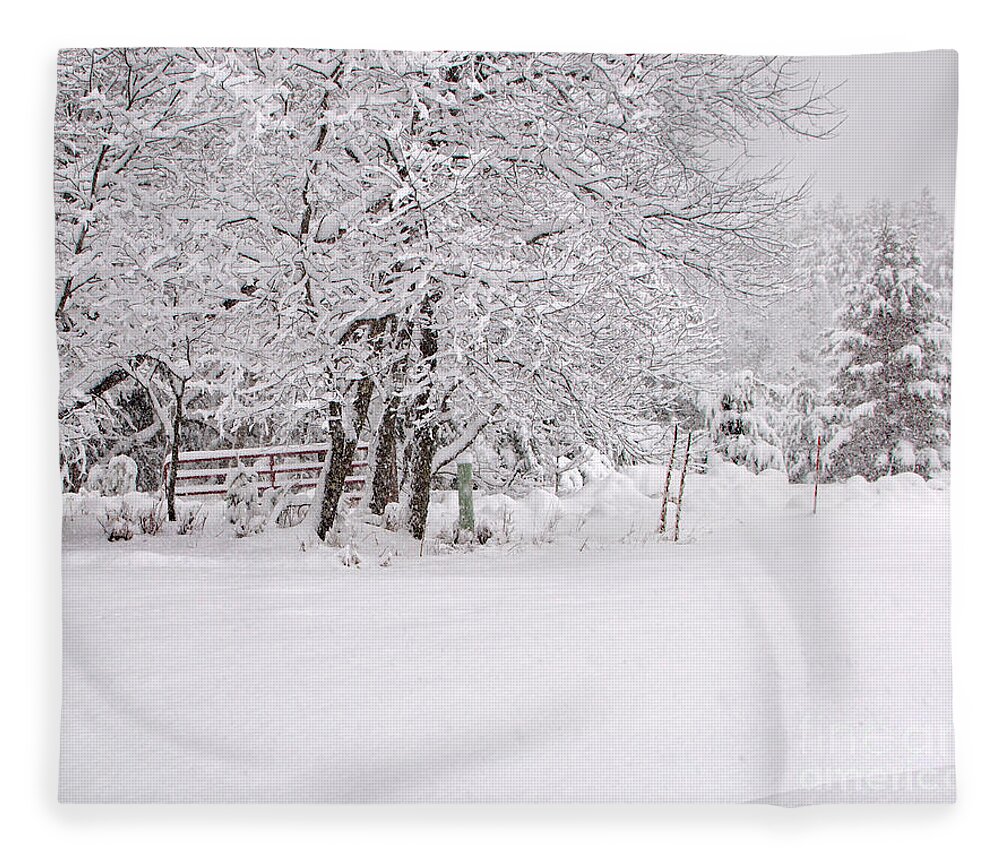 Winter Storm Picture Fleece Blanket featuring the photograph After the Winter Storm by Gwen Gibson