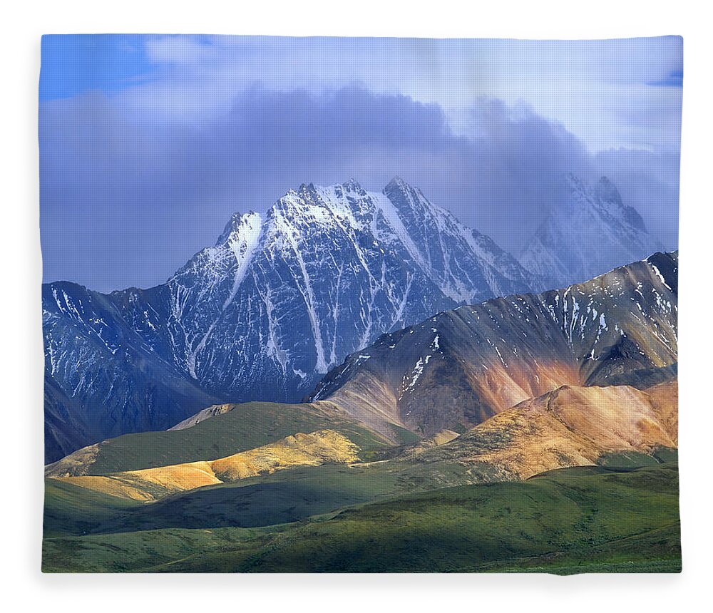 00175652 Fleece Blanket featuring the photograph Alaska Range And Foothills Denali by Tim Fitzharris
