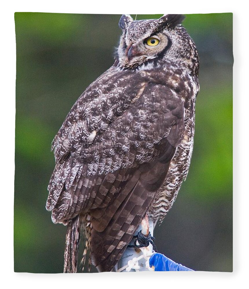 Wildlife Fleece Blanket featuring the digital art Alaskan Owl by National Park Service