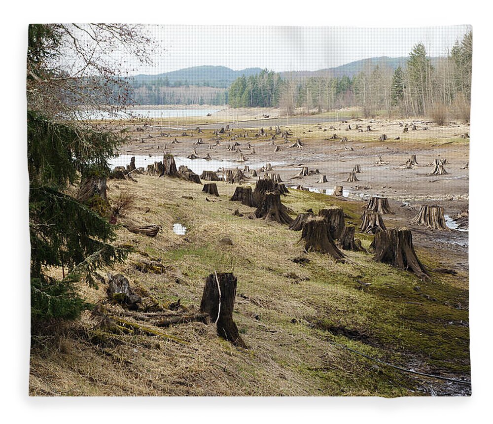 Wall Art Fleece Blanket featuring the photograph Alder Lake by Ron Roberts