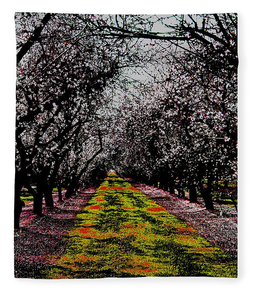 Almonds Fleece Blanket featuring the photograph Almond Trees in Bloom by Joseph Coulombe