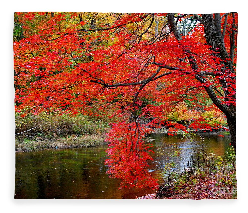 New Hampshire Fleece Blanket featuring the photograph Along The Lamprey by Eunice Miller