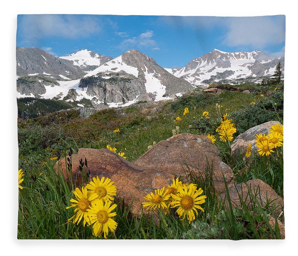 Mountain Fleece Blanket featuring the photograph Alpine Sunflower Mountain Landscape by Cascade Colors