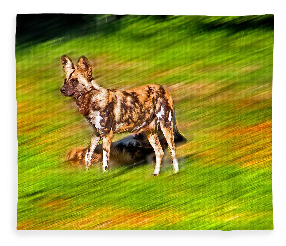 #african Wild Dog Fleece Blanket featuring the photograph Always Aware by Miroslava Jurcik