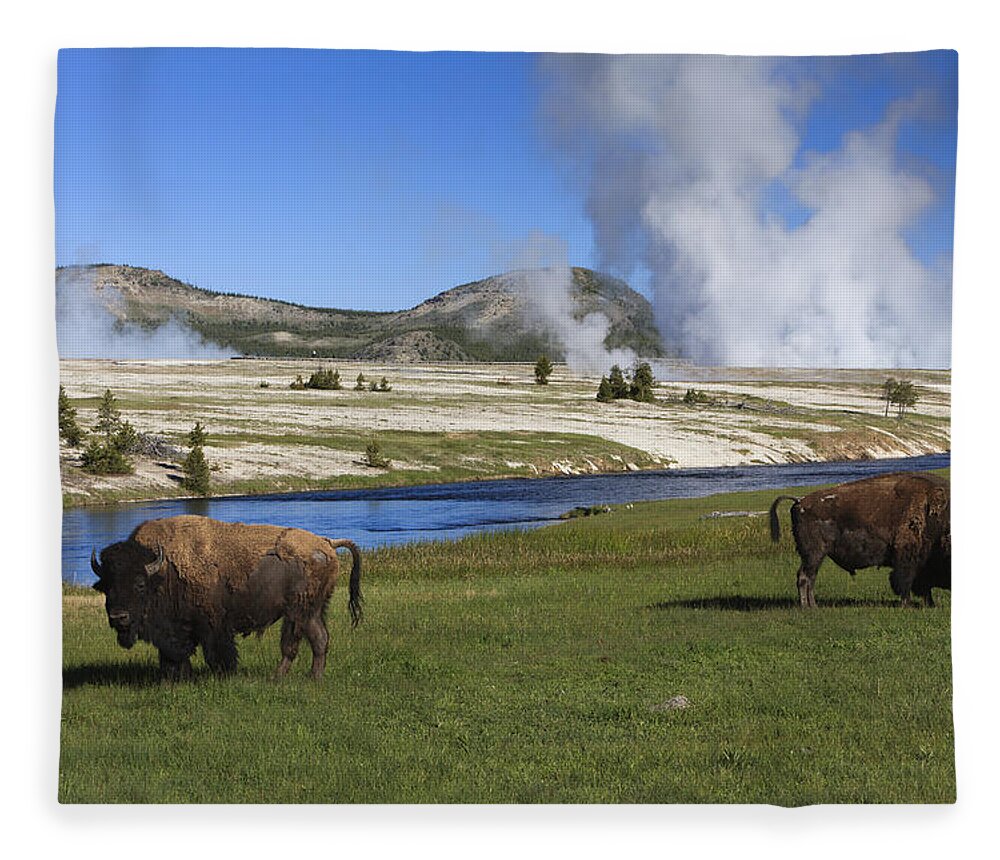 530445 Fleece Blanket featuring the photograph American Bison Grazing Along Firehole by Duncan Usher