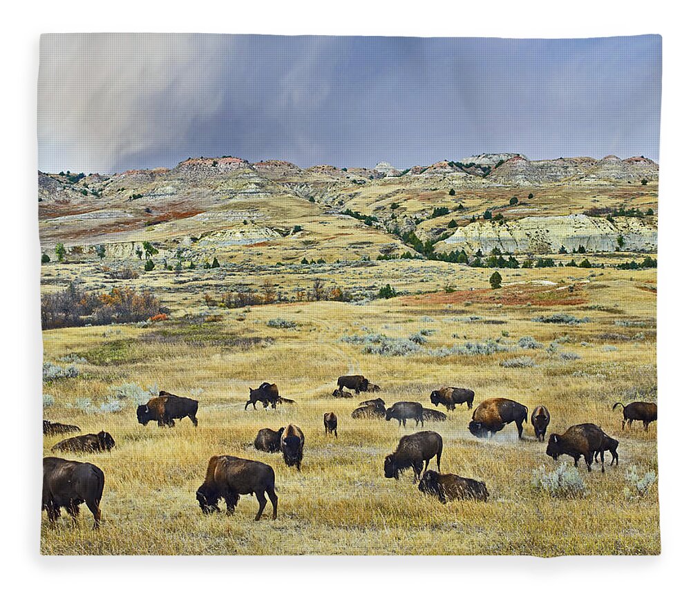 00176897 Fleece Blanket featuring the photograph American Bison Herd Grazing by Tim Fitzharris