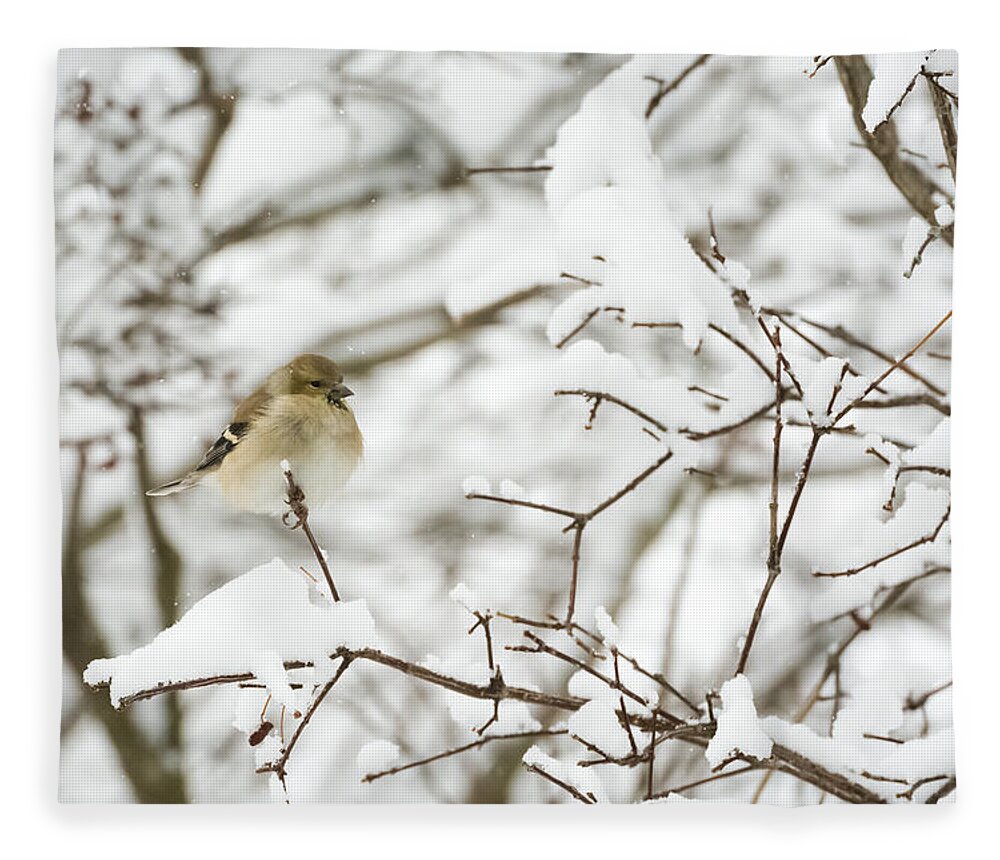 Jan Holden Fleece Blanket featuring the photograph American Goldfinch by Holden The Moment