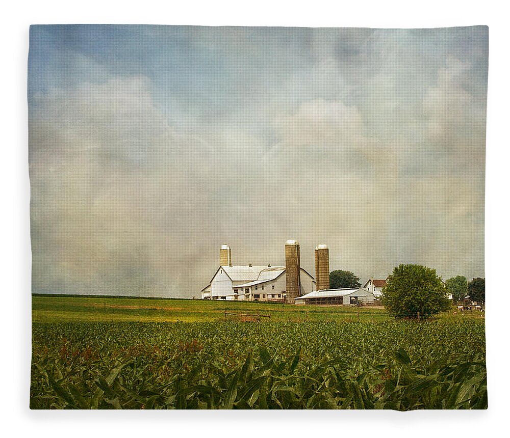 Rural Fleece Blanket featuring the photograph Amish Farmland by Kim Hojnacki