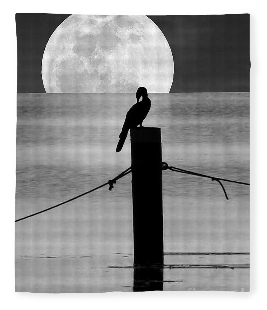 Nature Fleece Blanket featuring the photograph Anhinga Moon by Deborah Smith