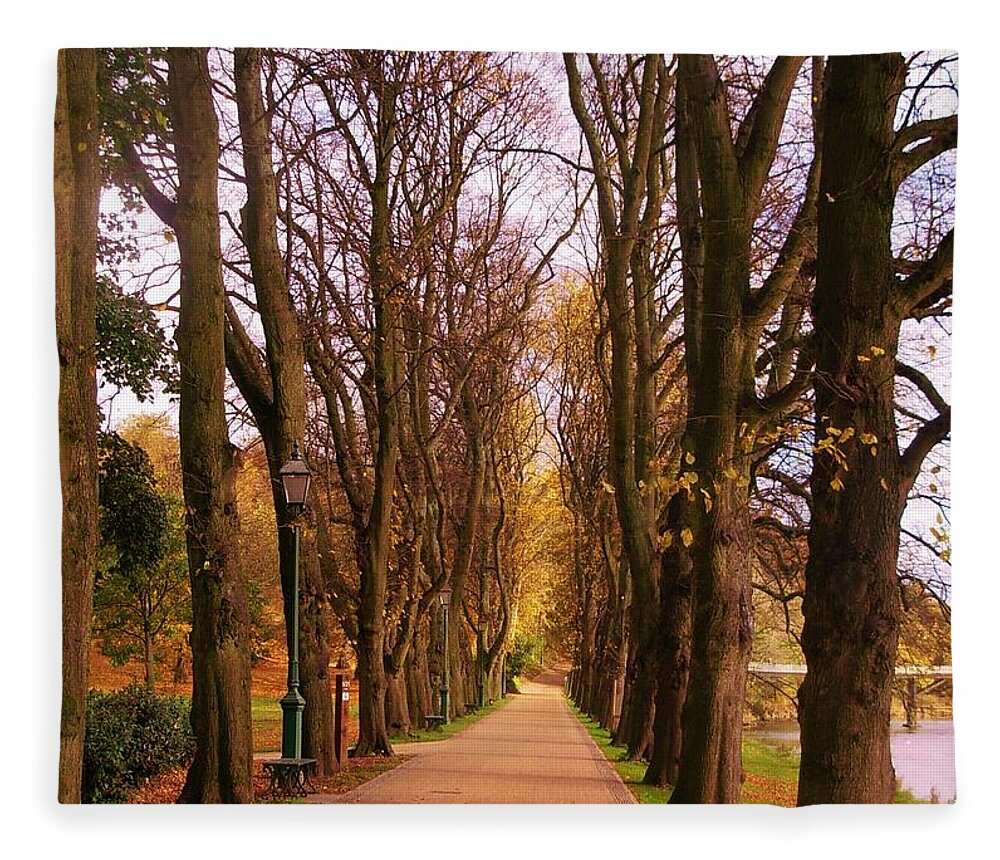 Lime Trees Fleece Blanket featuring the photograph Another view of The Avenue of Limes by Joan-Violet Stretch
