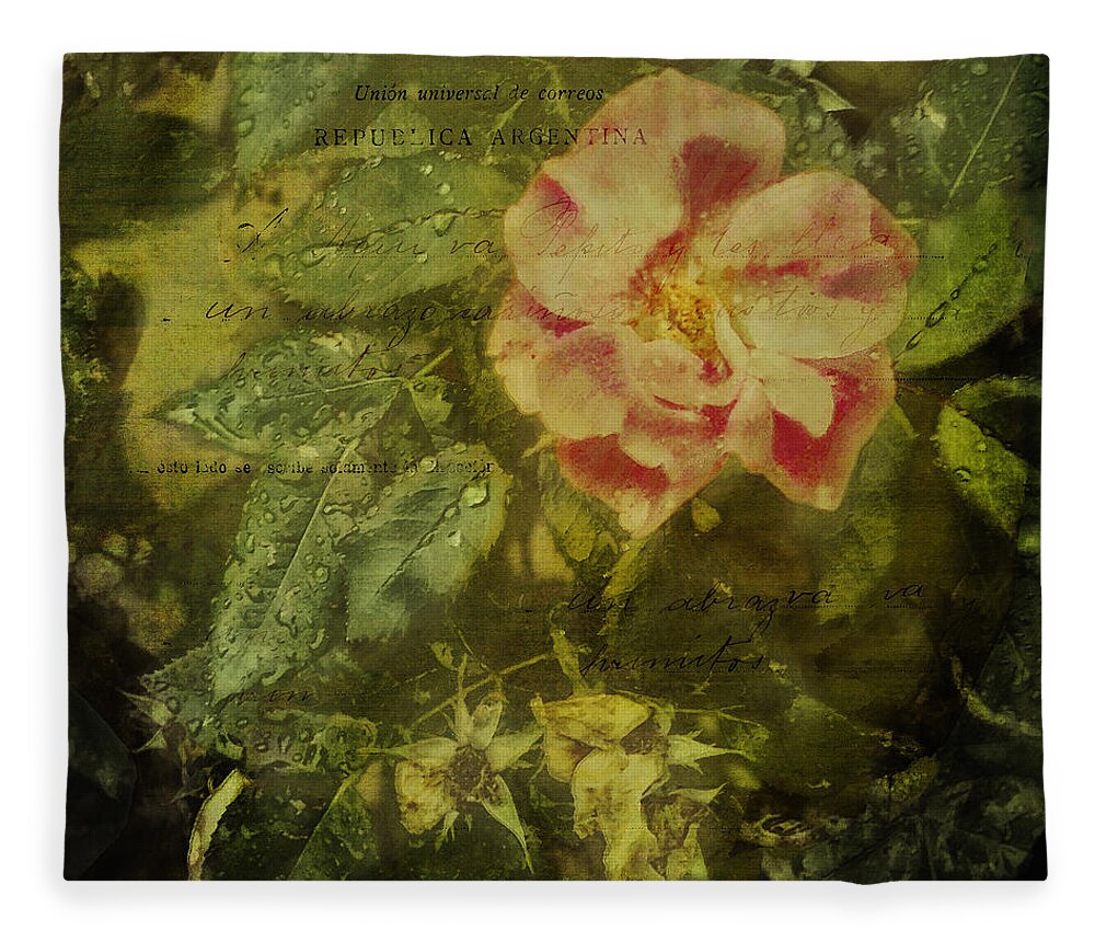 Rain Fleece Blanket featuring the photograph Vintage Rose and Raindrops by Marianne Campolongo