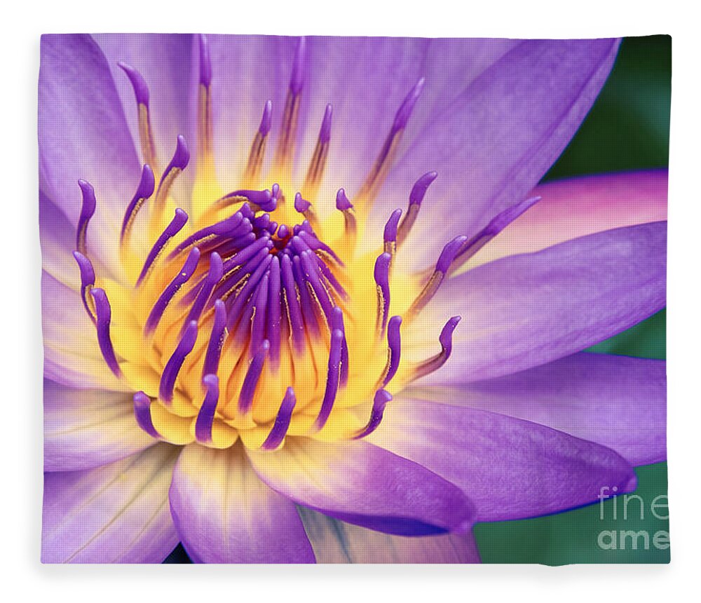 Waterlily Fleece Blanket featuring the photograph Ao Lani Heavenly Light by Sharon Mau