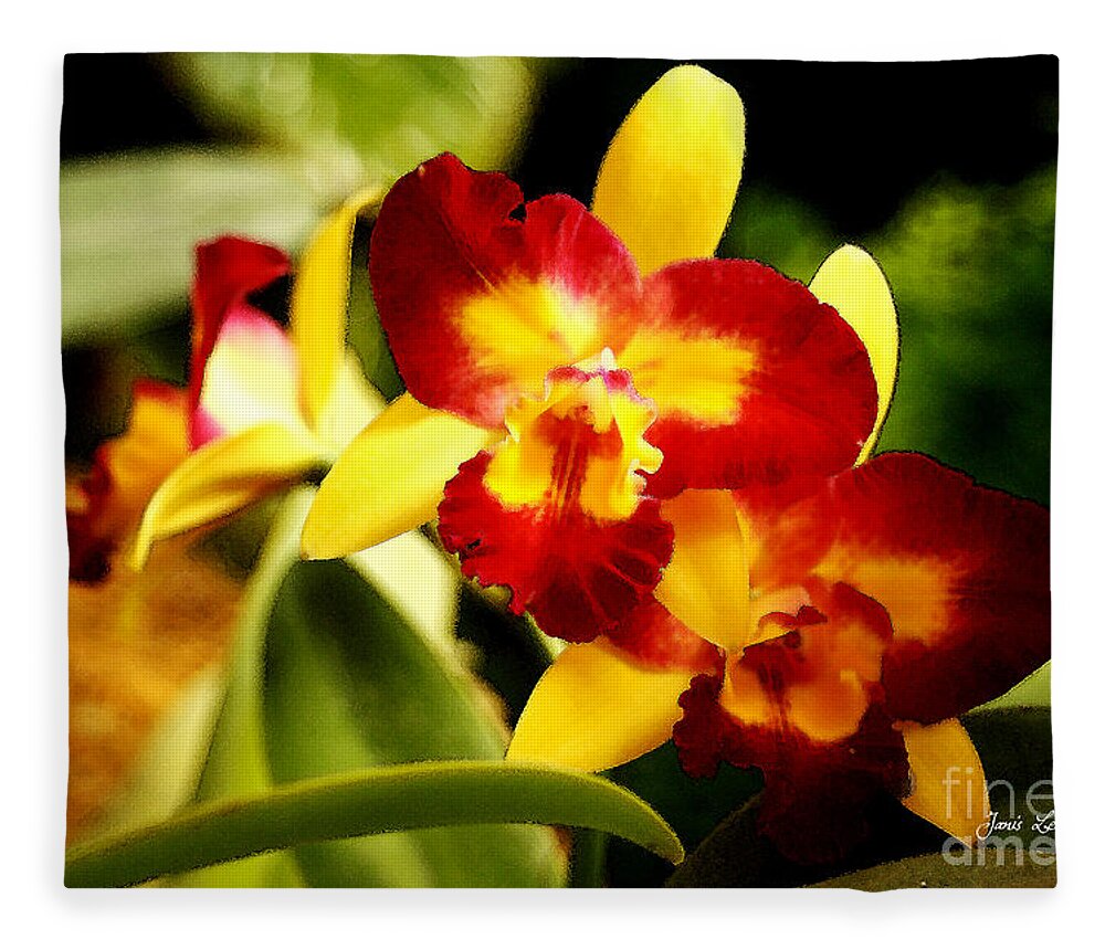 Orchid Fleece Blanket featuring the photograph AOS Yellow Orchid 2 by Janis Lee Colon