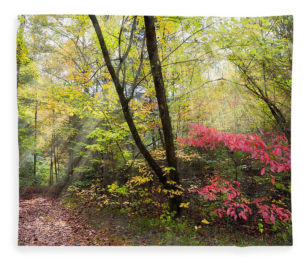 Trail Fleece Blanket featuring the photograph Appalachian Mountain Trail by Debra and Dave Vanderlaan