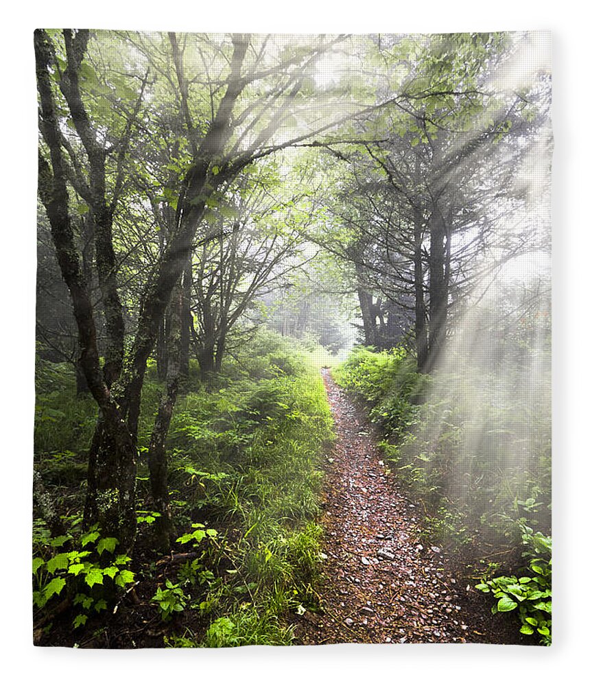 American Fleece Blanket featuring the photograph Appalachian Trail by Debra and Dave Vanderlaan