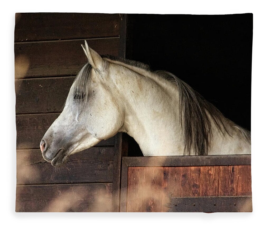 Animal Themes Fleece Blanket featuring the photograph Arabian Horse Looking Out Of Stable by Christiana Stawski