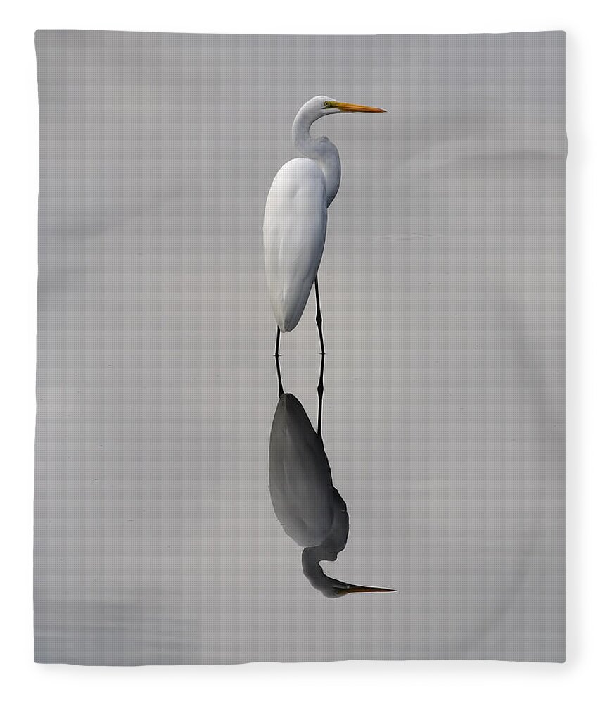 Great Fleece Blanket featuring the photograph Argent Mirror by Paul Rebmann