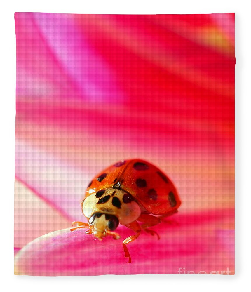 Red Fleece Blanket featuring the photograph Asian Lady Beetle 2 by Amanda Mohler