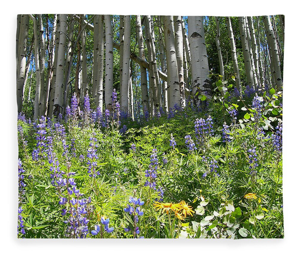 Crested Butte Fleece Blanket featuring the photograph Aspen And Wildflowers by Lorraine Baum