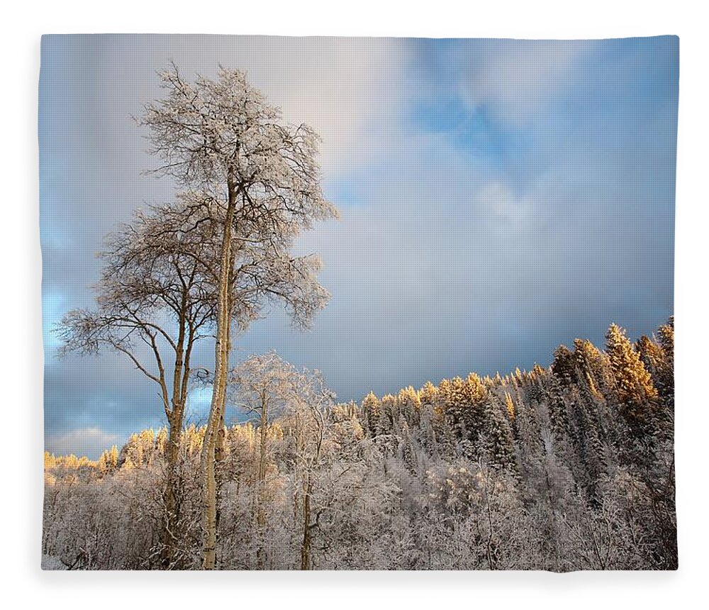 Landscape Fleece Blanket featuring the photograph Aspen in Blue by David Andersen
