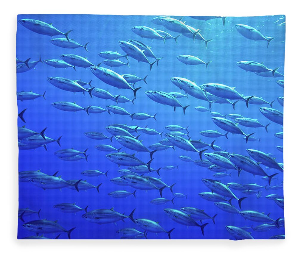Underwater Fleece Blanket featuring the photograph Atlantic Bluefin Tuna by Gerard Soury
