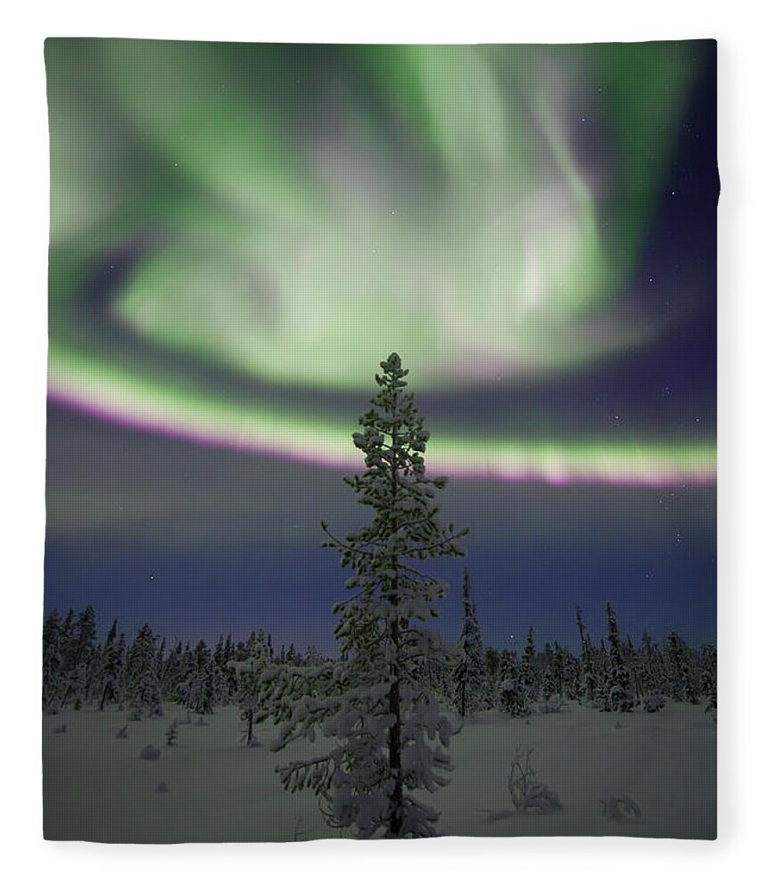 Extreme Terrain Fleece Blanket featuring the photograph Aurora Borealis Over A Frozen Forest by Antonyspencer