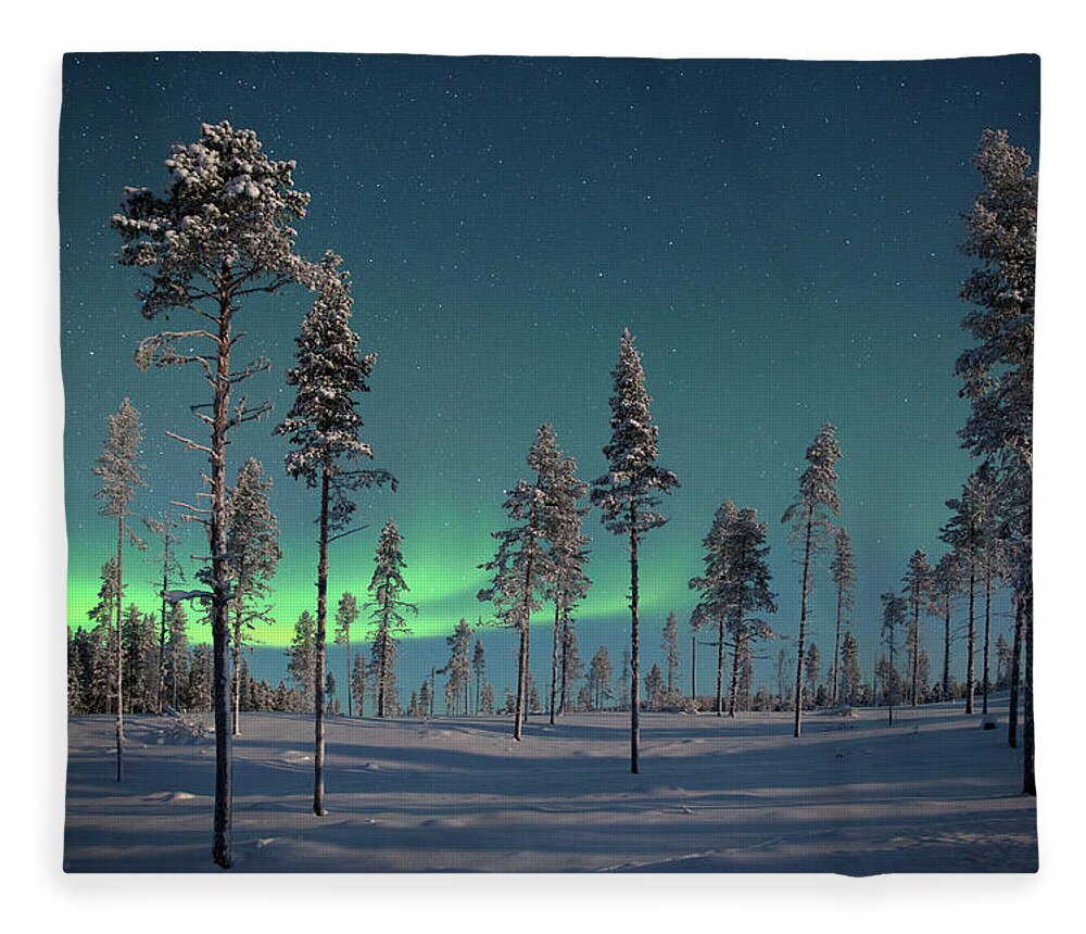 Norrbotten Province Fleece Blanket featuring the photograph Aururora Over Frozen Pine Trees by Antonyspencer