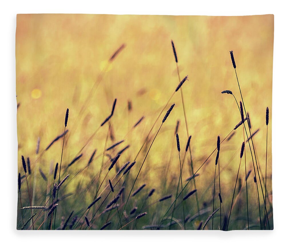 Grass Fleece Blanket featuring the photograph Austria, Close Up Of Summer Grass by Westend61