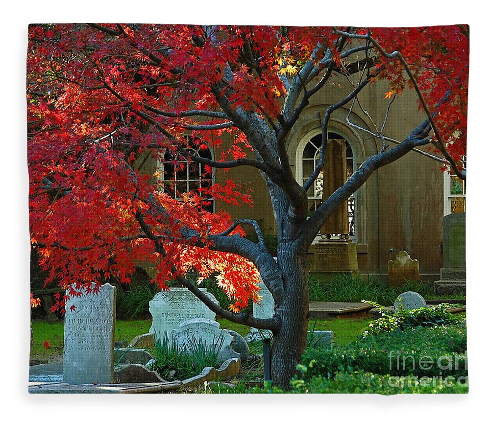 Charleston Fleece Blanket featuring the photograph Autumn Charleston Churchyard by Deborah Smith