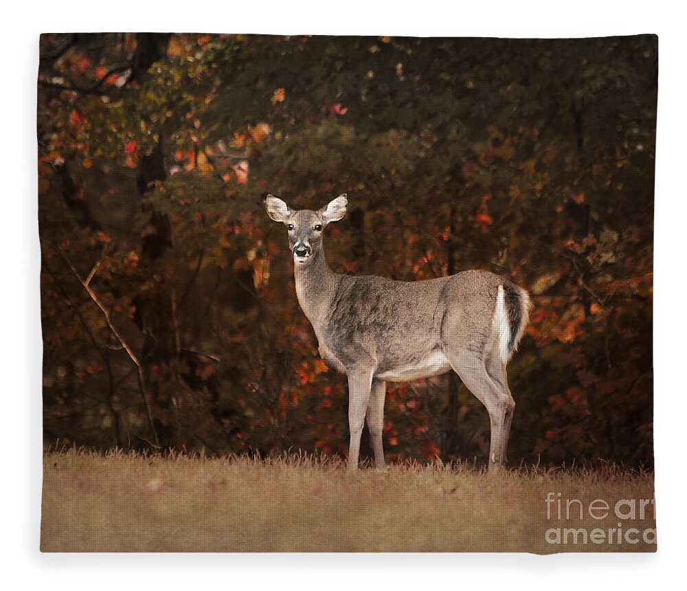 Animal Fleece Blanket featuring the photograph Autumn Doe by Jai Johnson