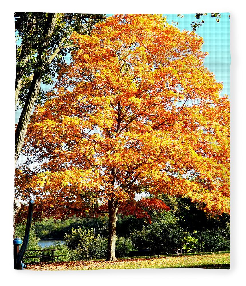 Autumn Glory Fleece Blanket featuring the photograph Autumn Glory by Darren Robinson