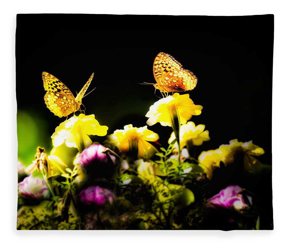 Insect Fleece Blanket featuring the photograph Autumn is when we first met by Bob Orsillo