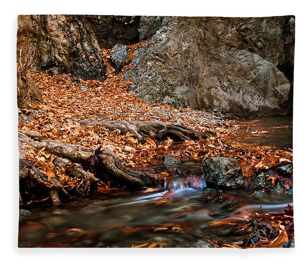 Autumn Fleece Blanket featuring the photograph Autumn landscape by Michalakis Ppalis