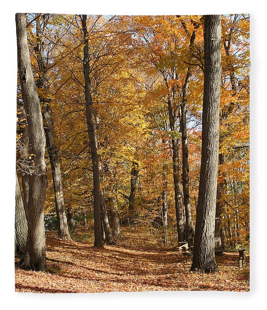 Autumn Fleece Blanket featuring the photograph Autumn Path by William Selander
