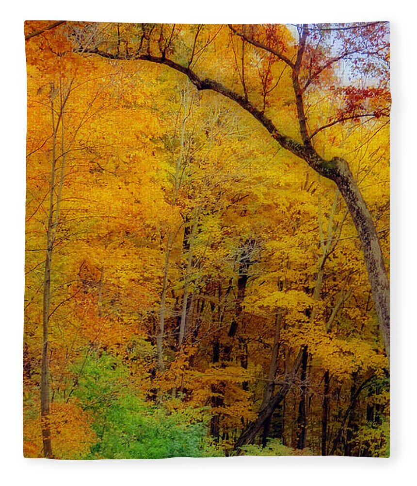 Autumn Fleece Blanket featuring the photograph Autumn Peak Colors by Kay Novy