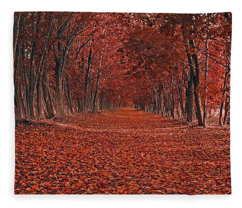 Autumn Fleece Blanket featuring the photograph Autumn by Raymond Salani III